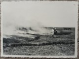 Copii la curatarea campului prin ardere, Romania interbelica// fotografie