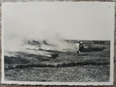 Copii la curatarea campului prin ardere, Romania interbelica// fotografie
