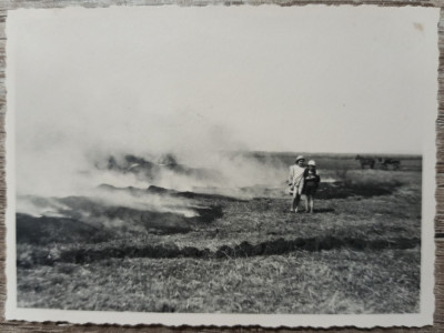 Copii la curatarea campului prin ardere, Romania interbelica// fotografie foto