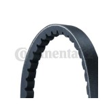 Continental Ctam Curea transmisie