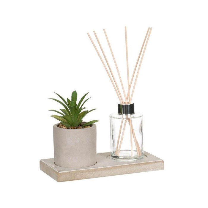Set pentru Odorizant de camera, Bol cu bete si planta, ATU-086996
