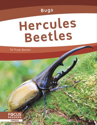 Hercules Beetles foto