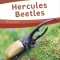 Hercules Beetles