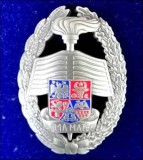 insigna ALMA MATER foto