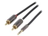 Cablu Audio Jack 3.5mm la RCA Aurit 1m