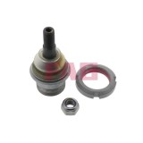 FAG Articulatie sarcina/ghidare