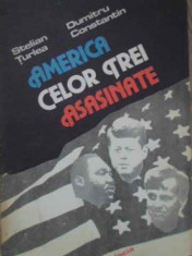 AMERICA CELOR TREI ASASINATE - S. TURLEA, D. CONSTANTIN foto