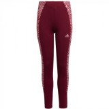 LEGGINGS POLI CB