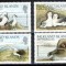 Falkland Dep 1985, Mi #129-132**, fauna, pasari, albatros, MNH! Cota 18 &euro;!