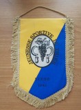 FANION JEUNESSE SPORTIVE DU THIER, LIEGE 1946