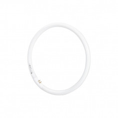 Tub Fluorescent Circular T5 32W foto