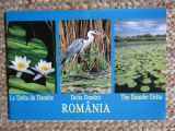 DELTA DUNARII ROMANIA