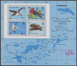 VIRGIN ISLANDS - 1980 - PASARI - bloc, Fauna, Nestampilat