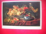 HOPCT 23820 FRUCTE SI PAPAGAL- JAN FYT 1611-1661 - RUSIA --MUZEE - CP PICTURA --NECIRCULATAMUNTII