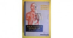 v. ranga anatomia omului pentru scolile de asistente medicala foto