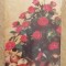 C9 18 - 1981 - Calendar de buzunar - reclama horticultura