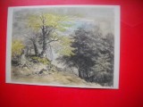 HOPCT 23163 PADURE- JOHANN JACOB DERNER [ 1775-1852] -- GERMANIA -- CP PICTURA --NECIRCULATA