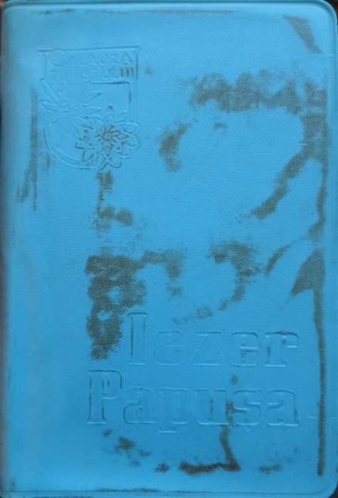 IEZER PAPUSA-N. POPESCU-225924