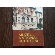 MUZEUL NATIONALCOTROCENI - ISTORIC foto