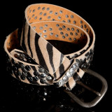 Sexy Belt with Studs and Zebra Look