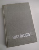 HISTOLOGIE - Manual invatamantul medical superior - Facultatile de stomatologie