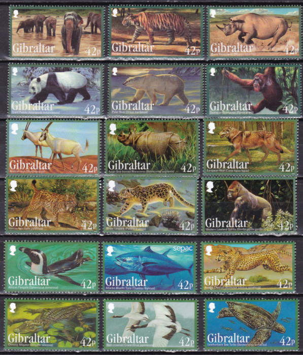 Gibraltar 2011/12/13 fauna 3 serii + 3 blocuri MNH w68 2 poze