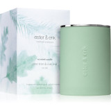 Ester &amp; erik scented candle pine tree &amp; oak leaf (no. 66) lum&acirc;nare parfumată 350 g