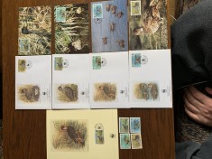 south georgia - pasari - serie 4 timbre MNH, 4 FDC, 4 maxime, fauna wwf