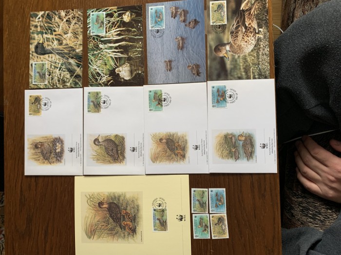 south georgia - pasari - serie 4 timbre MNH, 4 FDC, 4 maxime, fauna wwf