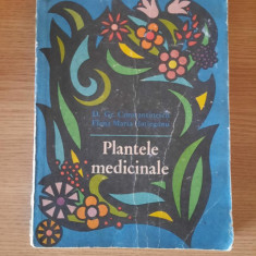 PLANTELE MEDICINALE – Prof. Dr. Doc. GR. CONSTANTINESCU s.a. (1979)