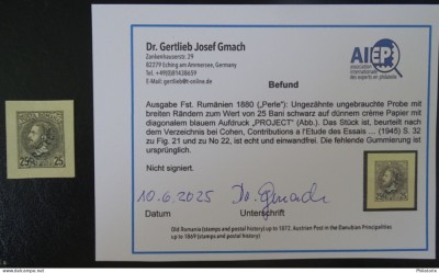Romania Esseuri , Carol cu barba , Expertizat , NG/(*) (2) foto