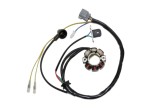 Stator cu lumini Kawasaki KXF 250 05- 10, Suzuki RM-Z 250 05- 06 50W