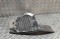 icon 5