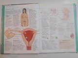 MAMA SI COPILUL , MANUAL PENTRU INGRIJIREA COPILULUI DE LA CONCEPTIE PANA LA VARSTA DE 3 ANI de ELIZABETH FENWICK , 2006 * MICI DEFECTE