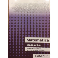 Matematica Clasa a X-a Filiera tehnologica: servicii, resurse si tehnic