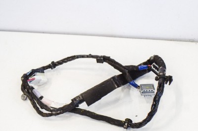Cablaj ușă st&amp;acirc;nga spate TESLA MODEL X 2018 OEM: 1063405-00-F 11194912 foto