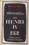 Tineretea lui Henri IV, Volumul I