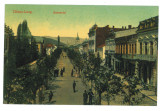 680 - CAMPULUNG, Arges, Romania - old postcard - unused