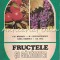 Fructele Si Sanatatea - Gh. Badescu, Mircea Constantinescu