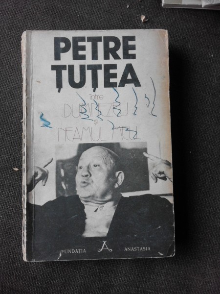 INTRE DUMNEZEU SI NEAMUL MEU , PETRE TUTEA