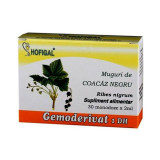 HOFIGAL Gemoderivat Muguri de coacaz negru, 30 monodoze