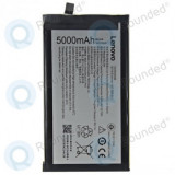 Baterie Lenovo Vibe P1 BL244 4900/5000mAh