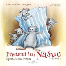 Prietenii lui Nasuc - operatiunea punga - Cristina Elena Gheorghiu