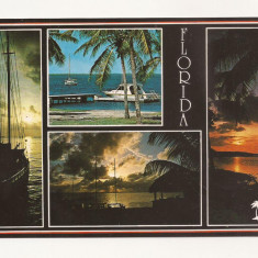 FA24-Carte Postala- SUA - Florida, circulata 1987