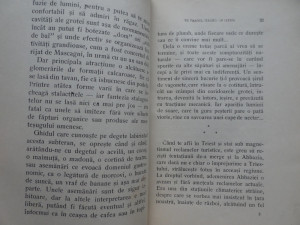 Petrovici , Al doilea volum de impresii in Italia , 1938, Alta editura |  Okazii.ro