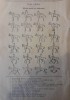 1927, Reclama / Tract Calaria, diferite pozitii calaretului echitatie hipism