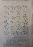 1927, Reclama / Tract Calaria, diferite pozitii calaretului echitatie hipism