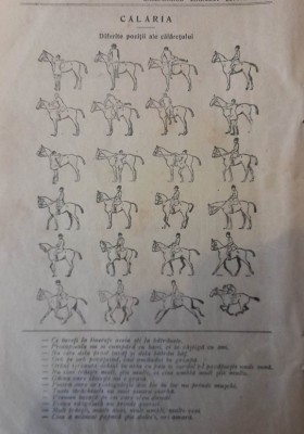 1927, Reclama / Tract Calaria, diferite pozitii calaretului echitatie hipism foto