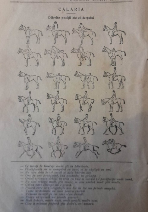 1927, Reclama / Tract Calaria, diferite pozitii calaretului echitatie hipism