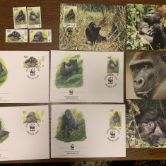 congo - gorila - serie 4 timbre MNH, 4 FDC, 4 maxime, fauna wwf